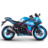RZM250H-19A