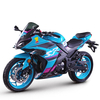RZM250H-19A