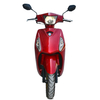 TZM110G-3 (TZM100G-3)