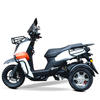 TRM150L-12H（Tricycle）