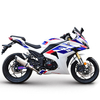 RZM250H-22B