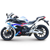 RZM250B-4C