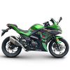 RZM250H-23A